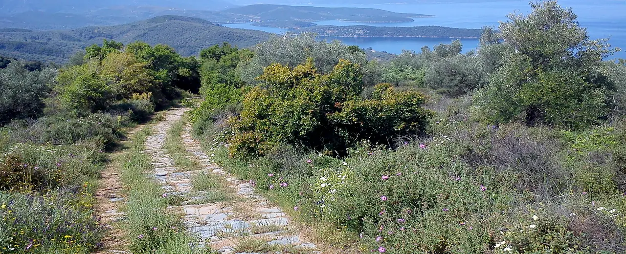 Milina-Lafkos (מעגלי), דרום Pelion