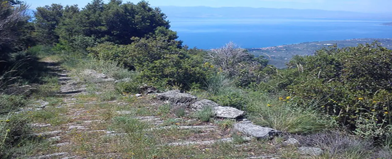 Agios Georgios-Kato Gatzea, Zentral-Pelion
