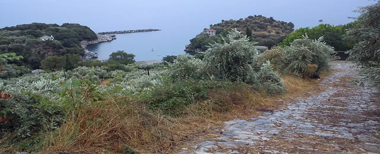 Damouchari-Mouresi (Rundweg), Ost-Pelion