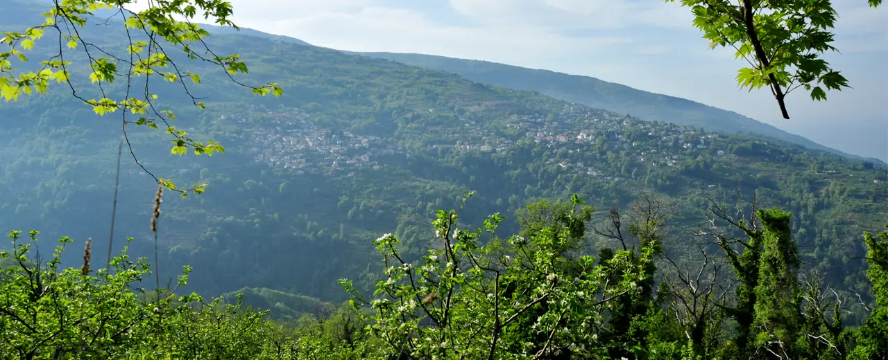 Zagora, Ost-Pelion