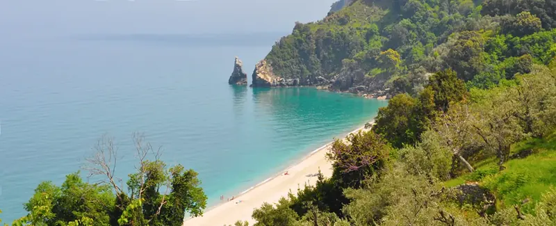 Άγιοι Σαράντα, Ανατολικό Πήλιο