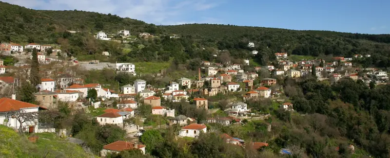 Αφέτες, Κεντρικό Πήλιο