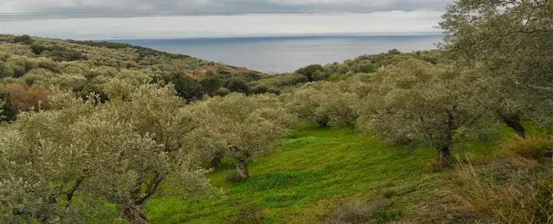 Αργαλαστή-Λεφόκαστρο-Κάλαμος, Νότιο Πήλιο