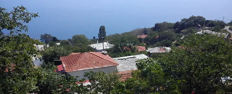 Πουρί-Χορευτό, Ανατολικό Πήλιο