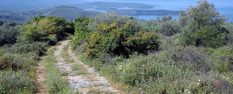 Μηλίνα-Λαύκος (Κυκλική), Νότιο Πήλιο