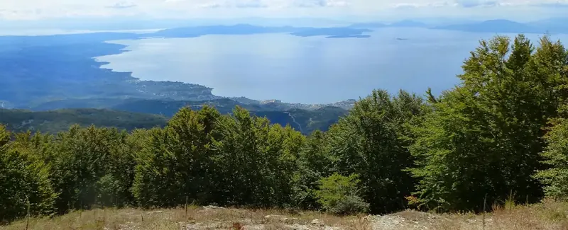 Χάνια-Αγριόλευκες-Σχιτζουράβλι (Κυκλική), Ανατολικό Πήλιο