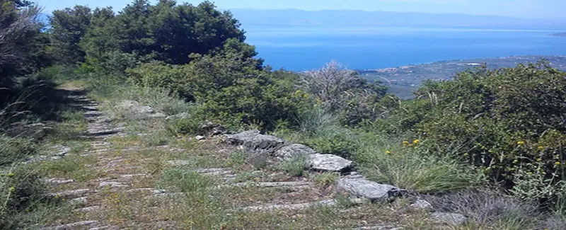 Άγιος Γεώργιος-Κάτω Γατζέα, Κεντρικό Πήλιο
