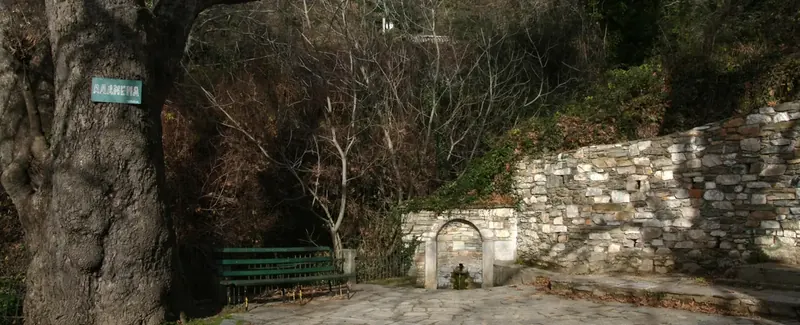 Πορταριά, Δυτικό Πήλιο