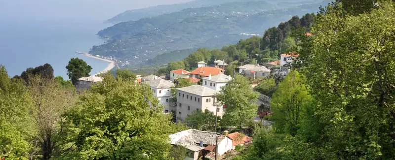 Πουρί, Ανατολικό Πήλιο